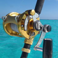 Panama City Beach Photo